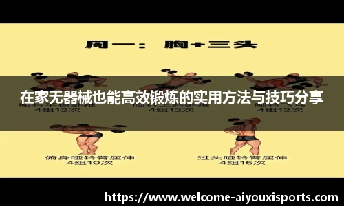 在家无器械也能高效锻炼的实用方法与技巧分享