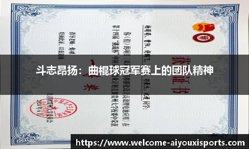 斗志昂扬：曲棍球冠军赛上的团队精神